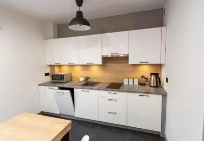 Kuchnia lub aneks kuchenny w obiekcie Tymon Apartament przy deptaku