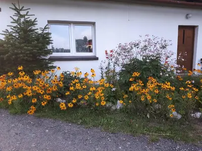 Ogród w obiekcie Lawendowy Zakątek - Agroturystyka