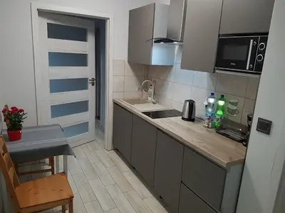 Kuchnia lub aneks kuchenny w obiekcie APARTAMENT Kudowa Zdrój - Słone
