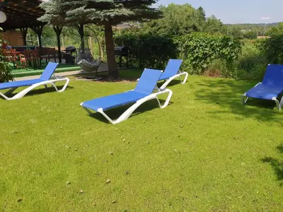 Ogród w obiekcie APARTAMENT Kudowa Zdrój - Słone
