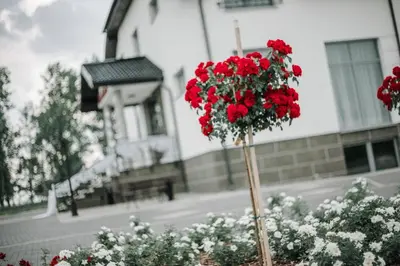 Plan piętra w obiekcie Różany Zakątek