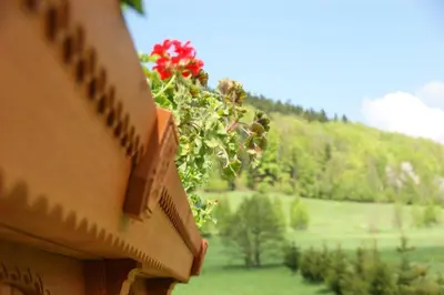 Ogród w obiekcie Villa la Val, Karkonosze