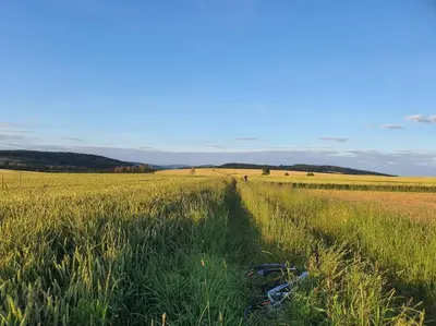 Przyroda w pobliżu tego domu w stylu alpejskim