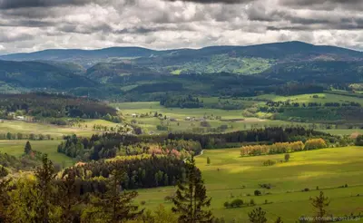 Przyroda w pobliżu tego domu w stylu alpejskim