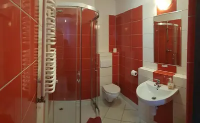 Łazienka w obiekcie Hotelik Kameleon Pokoje Gościnne