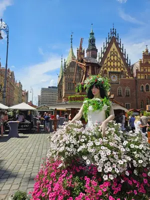 Goście zatrzymujący się w obiekcie Apartamenty Hexus - Ofiar Oświęcimskich - Wrocław centrum Rynek