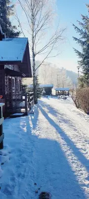 Przyroda w pobliżu tego domu w stylu alpejskim