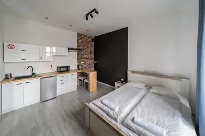 Kuchnia lub aneks kuchenny w obiekcie Black & White Vision Apartment - Centrum