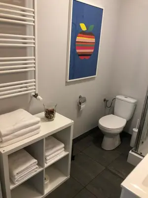 Łazienka w obiekcie APARTAMENT ŚMIAŁEGO 9