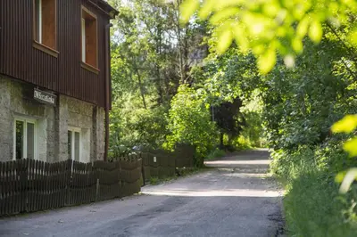 Ogród w obiekcie Hostel Szczelinka