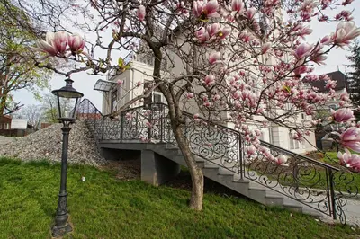 Ogród w obiekcie Versant Hotel & Spa
