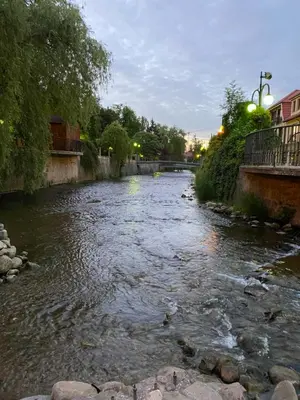 Widok na rzekę nieopodal tego apartamentu