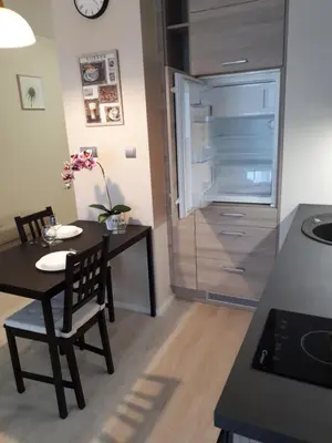 Kuchnia lub aneks kuchenny w obiekcie Vena apartment