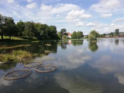 Widok na rzekę nieopodal tego apartamentu
