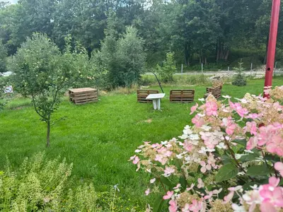 Ogród w obiekcie SIELANKA