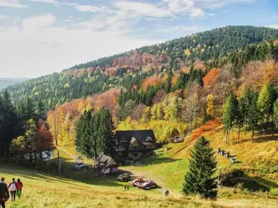 Przyroda w pobliżu tego hotelu