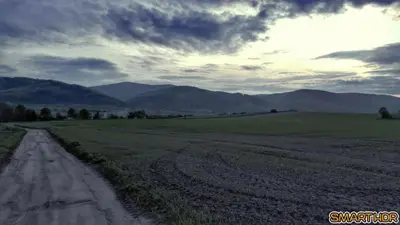 Przyroda w pobliżu tego apartamentu