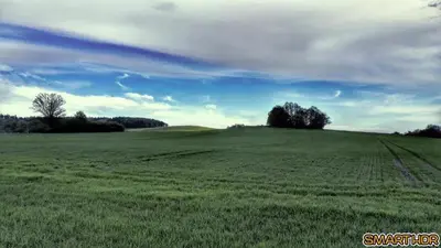 Przyroda w pobliżu tego apartamentu