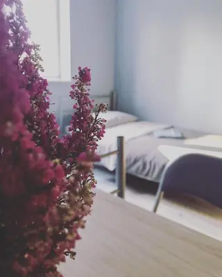 Łóżko lub łóżka w pokoju w obiekcie Lawendowy Hostel Wrocław