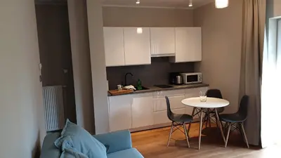Kuchnia lub aneks kuchenny w obiekcie Apartament Top Park View Polanica Zdrój