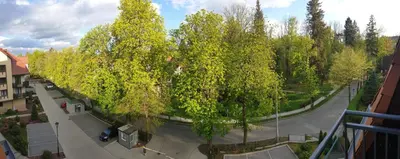 Przyroda w pobliżu tego apartamentu