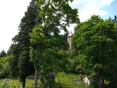 Ogród w obiekcie Apartament Dobry klimat