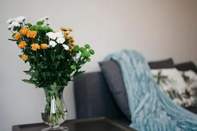 Plan piętra w obiekcie Nocosfera Apartament Serbinów
