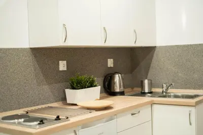 Kuchnia lub aneks kuchenny w obiekcie Apartamenty GoszoWita