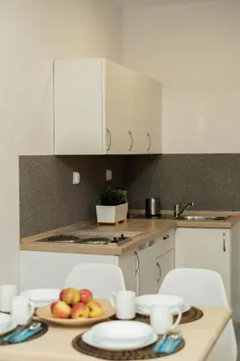 Kuchnia lub aneks kuchenny w obiekcie Apartamenty GoszoWita