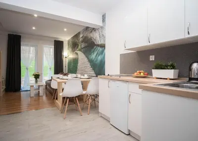 Kuchnia lub aneks kuchenny w obiekcie Apartamenty GoszóWita