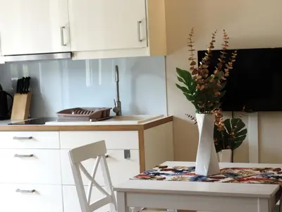Kuchnia lub aneks kuchenny w obiekcie Apartamenty Miku