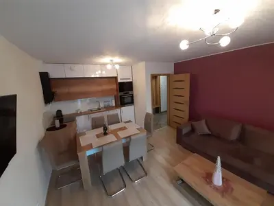 Kuchnia lub aneks kuchenny w obiekcie Apartament Reymonta