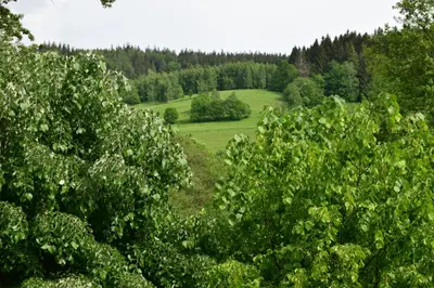 Przyroda w pobliżu tego apartamentu
