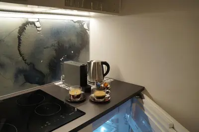 Kuchnia lub aneks kuchenny w obiekcie Apartament Gliwice Centrum Fredry II