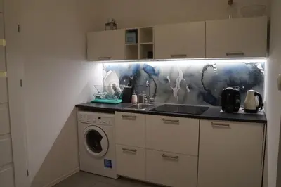 Kuchnia lub aneks kuchenny w obiekcie Apartament Gliwice Centrum Fredry II
