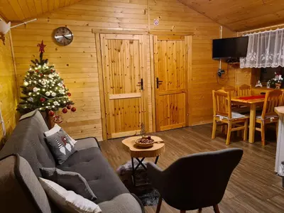 Telewizja i/lub zestaw kina domowego w obiekcie DOMKI POD ZIELONYM WZGÓRZEM