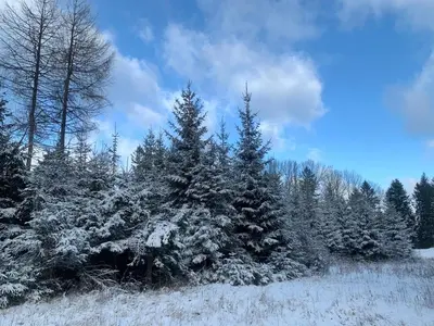 Obiekt Domek na górce zimą
