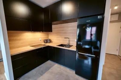 Kuchnia lub aneks kuchenny w obiekcie LAGUNA 21 Apartament z Cyganką