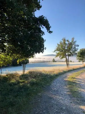 Plan piętra w obiekcie Wzgórze Owiec Sheep Hill