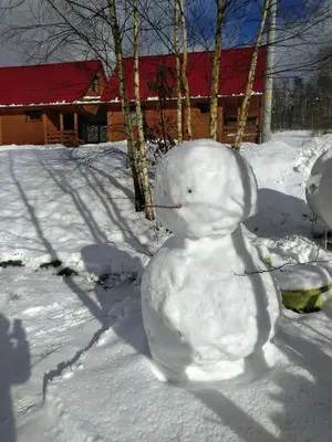 Obiekt Chatka w gorach zimą
