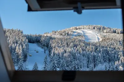 Przyroda w pobliżu tego obiektu B&B