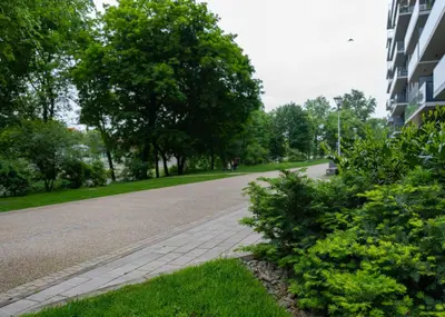Ogród w obiekcie Apartament Kępa Mieszczańska - Old Town- free Parking - 15 min do Rynku