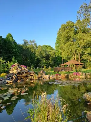 Przyroda w pobliżu tego obiektu B&B