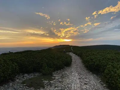 Przyroda w pobliżu tego apartamentu