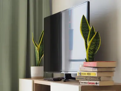 Telewizja i/lub zestaw kina domowego w obiekcie Kropla Rosy