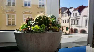 Budynek, w którym mieści się apartament