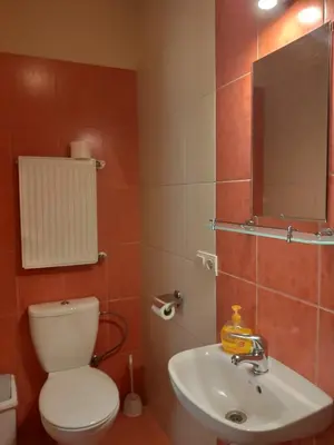 Łazienka w obiekcie Apartamenty i pokoje gościnne
