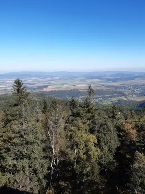 Przyroda w pobliżu tego apartamentu