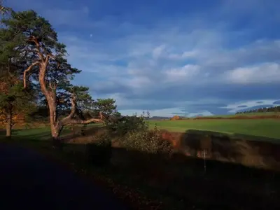 Przyroda w pobliżu tej kwatery prywatnej