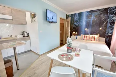 Kuchnia lub aneks kuchenny w obiekcie Apartament Gałązka Jabłoni